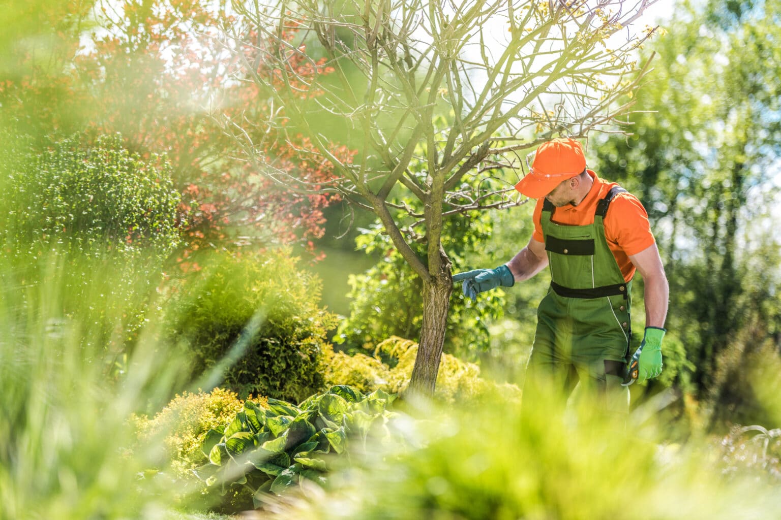 Garten Und Landschaftsbauer In Der Nähe Garten- und Landschaftsbauer:in – Karriere am Bau